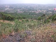 ntrada Ilice-20100530 032